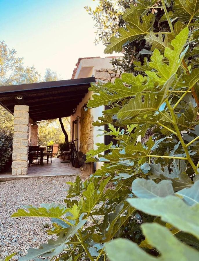 Ovostolai Cottage Fonni Luaran gambar