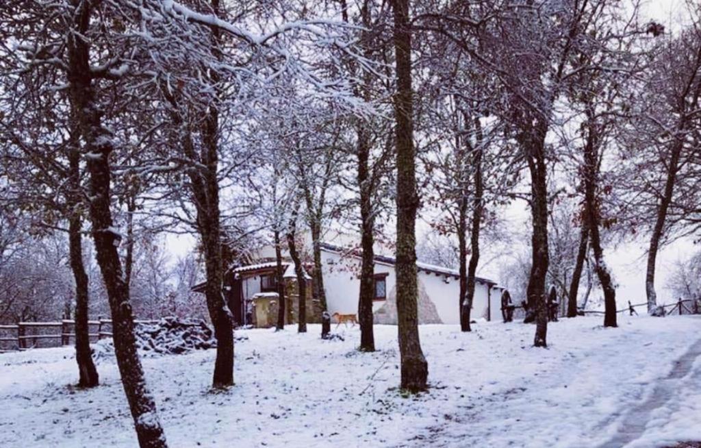 Ovostolai Cottage Fonni Luaran gambar