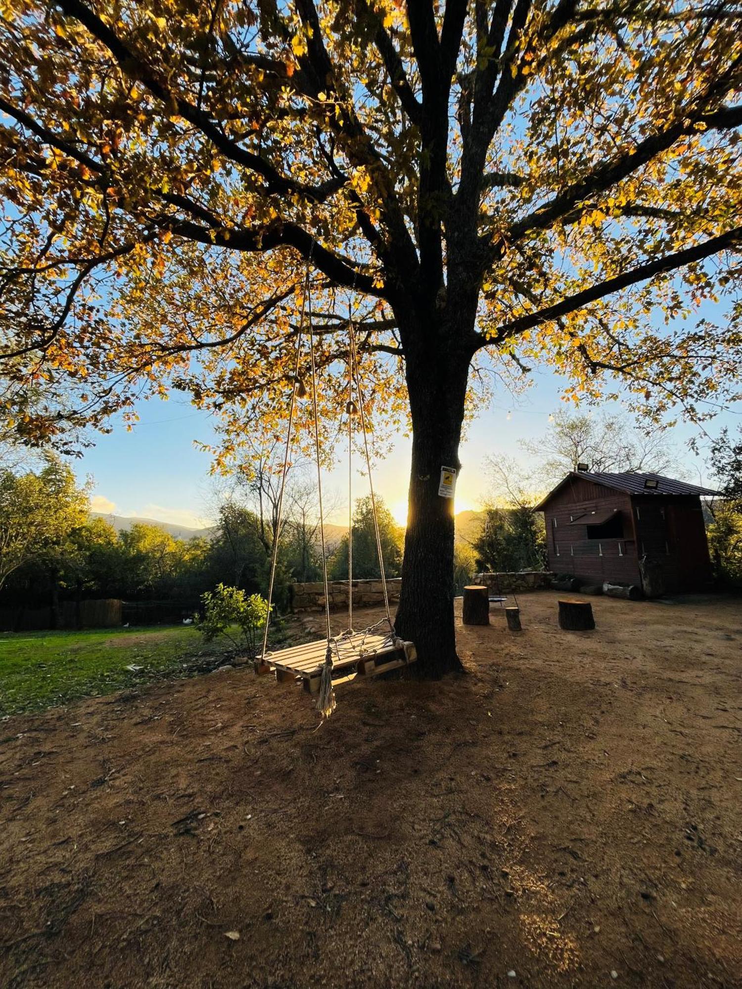 Ovostolai Cottage Fonni Luaran gambar