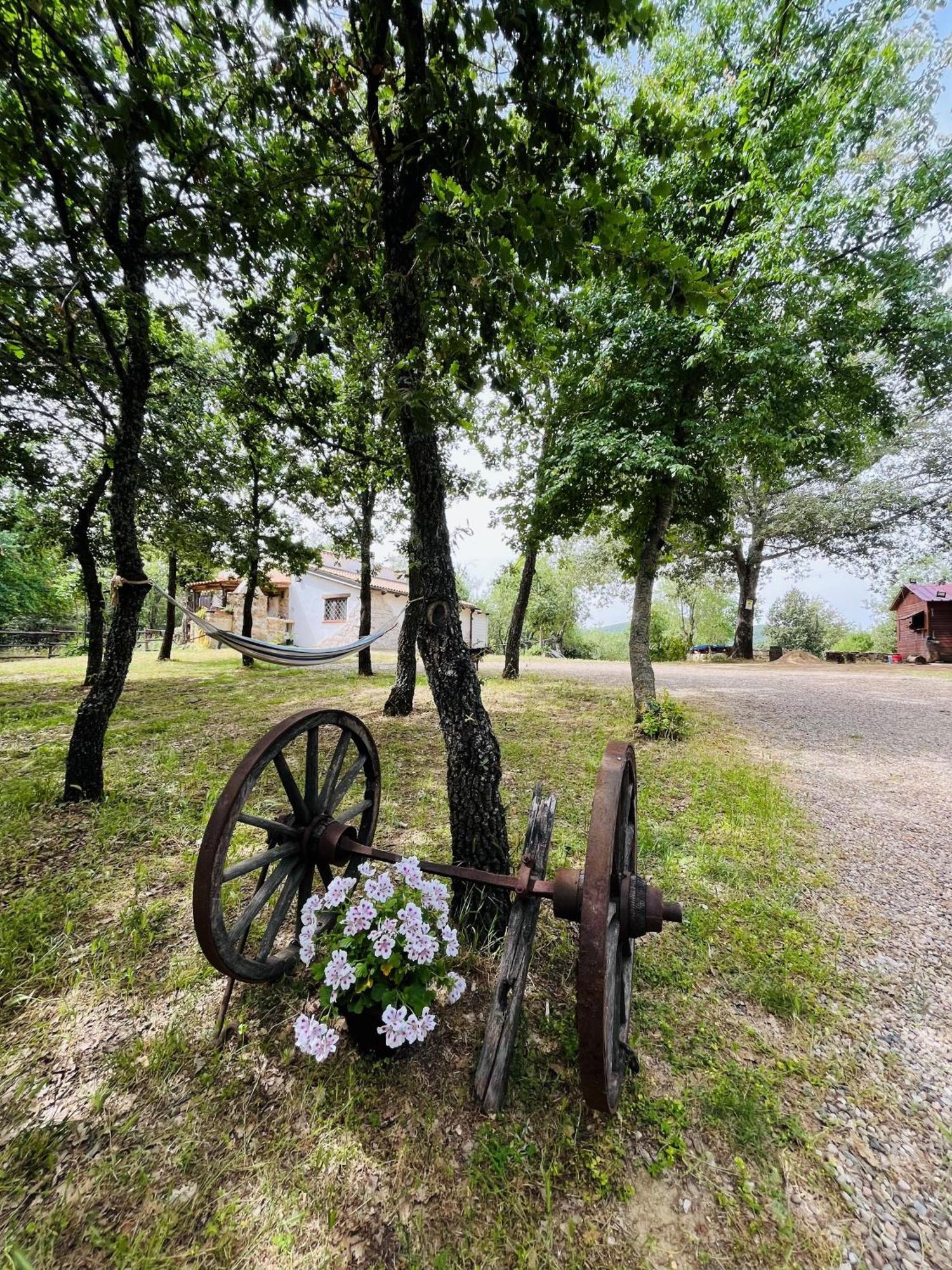 Ovostolai Cottage Fonni Luaran gambar